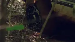 Discovery. Самогонщики 13 сезон 6 серия