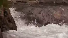 Discovery. Самогонщики 10 сезон 17 серия