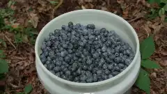 Discovery. Самогонщики 13 сезон 4 серия