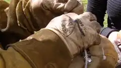 Discovery. Разрушители легенд 5 сезон 11 серия