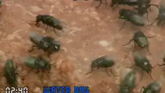 Discovery. Разрушители легенд 8 сезон 20 серия