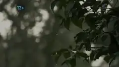 Discovery. Голые и напуганные XL 6 сезон 13 серия