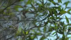 Discovery. Самогонщики 11 сезон 20 серия