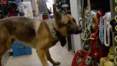 Discovery. Разрушители легенд 8 сезон 12 серия