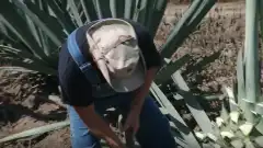 Discovery. Самогонщики 11 сезон 17 серия