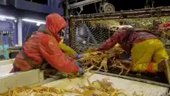 Discovery. Смертельный улов 21 сезон 15 серия