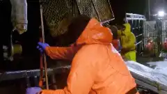 Discovery. Смертельный улов 16 сезон 18 серия