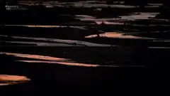 Discovery. Золотая лихорадка 1 сезон 9 серия