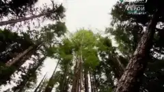 Discovery. Золотая лихорадка 2 сезон 9 серия