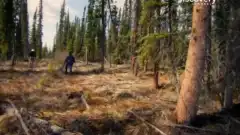 Discovery. Золотая лихорадка 3 сезон 2 серия