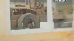 Discovery. Золотая лихорадка 3 сезон 3 серия