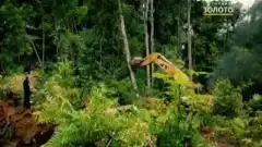 Discovery. Золотая лихорадка 3 сезон 12 серия