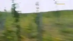 Discovery. Золотая лихорадка 3 сезон 14 серия