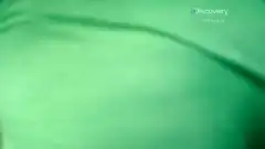 Discovery. Золотая лихорадка 4 сезон 8 серия