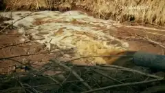 Discovery. Золотая лихорадка 5 сезон 2 серия