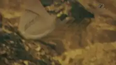 Discovery. Золотая лихорадка 7 сезон 12 серия