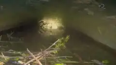 Discovery. Золотая лихорадка 7 сезон 18 серия