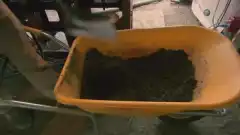 Discovery. Золотая лихорадка 8 сезон 7 серия