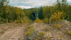 Discovery. Золотая лихорадка 12 сезон 14 серия