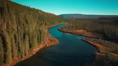 Discovery. Золотая лихорадка 15 сезон 22 серия