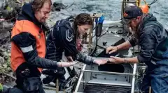 Золотая лихорадка Бурные воды 5 сезон 9 серия