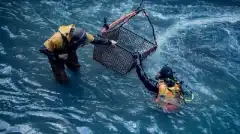 Золотая лихорадка Бурные воды 5 сезон 13 серия