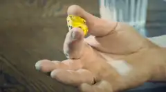 Золотая лихорадка Бурные воды 7 сезон 3 серия