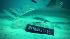 Discovery. Разрушители легенд 15 сезон 13 серия