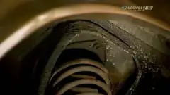 Discovery. Махинаторы 10 сезон 2 серия