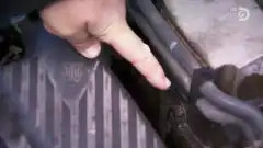 Discovery. Махинаторы 12 сезон 17 серия