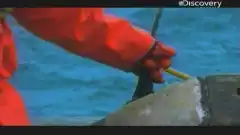 Discovery. Смертельный улов 5 сезон 14 серия