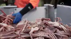 Discovery. Смертельный улов 12 сезон 15 серия