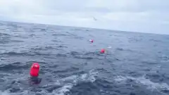 Discovery. Смертельный улов 18 сезон 17 серия