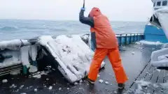 Discovery. Смертельный улов 18 сезон 19 серия