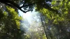 Discovery. Самогонщики 2 сезон 3 серия