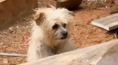 Discovery. Самогонщики 2 сезон 5 серия