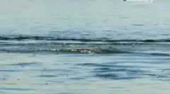 Discovery. Самогонщики 2 сезон 11 серия