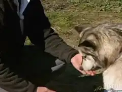 Discovery. Разрушители легенд 5 сезон 5 серия