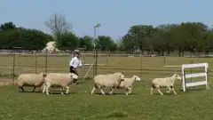 Discovery. Разрушители легенд 12 сезон 6 серия