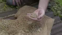 Discovery. Самогонщики 7 сезон 14 серия