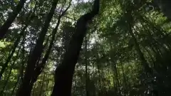 Discovery. Самогонщики 7 сезон 16 серия