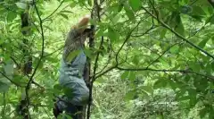 Discovery. Самогонщики 8 сезон 16 серия