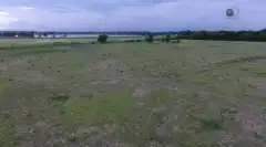 Discovery. Самогонщики 8 сезон 17 серия