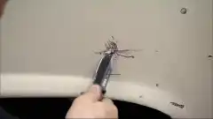 Discovery. Быстрые и громкие 14 сезон 6 серия