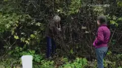 Discovery. Аляска: семья из леса 2 сезон 4 серия