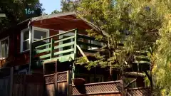 Discovery. Аляска: семья из леса 5 сезон 2 серия