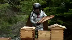 Discovery. Аляска: семья из леса 6 сезон 6 серия