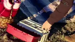 Discovery. Аляска: семья из леса 7 сезон 2 серия