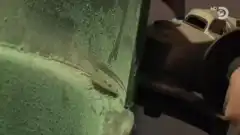 Discovery. Аляска: семья из леса 7 сезон 6 серия