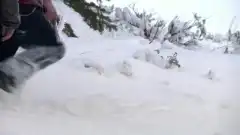 Discovery. Аляска: семья из леса 7 сезон 7 серия